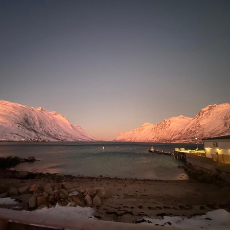 House Of Ellie Bed & Breakfast Ersfjordbotn Екстериор снимка